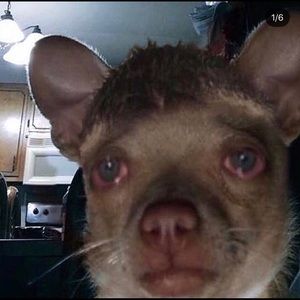 Meet your Posher, Melanie